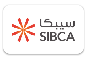 SIBCA ELECTRONIC EQUIPMENT COMPANY LIMITED - SOLE PROPRIETORSHIP L.L.C.